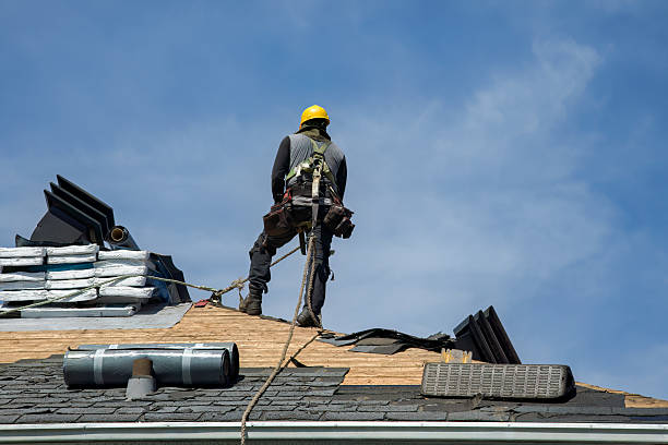 Professional Metal Roofing technician working in Lyndonville, NY